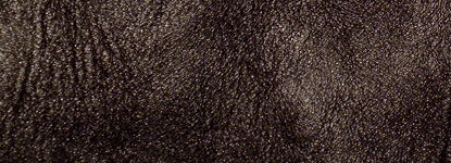Italian Dark Seal Horsehide