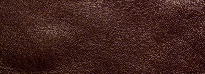 Seal Brown Semi-Aniline Horsehide