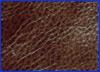 Seal Cowhide