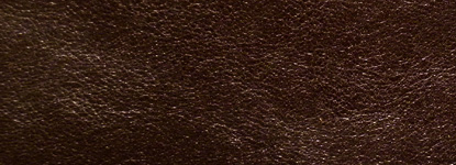 Dark Seal Horsehide