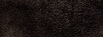 Black Pigment Horsehide
